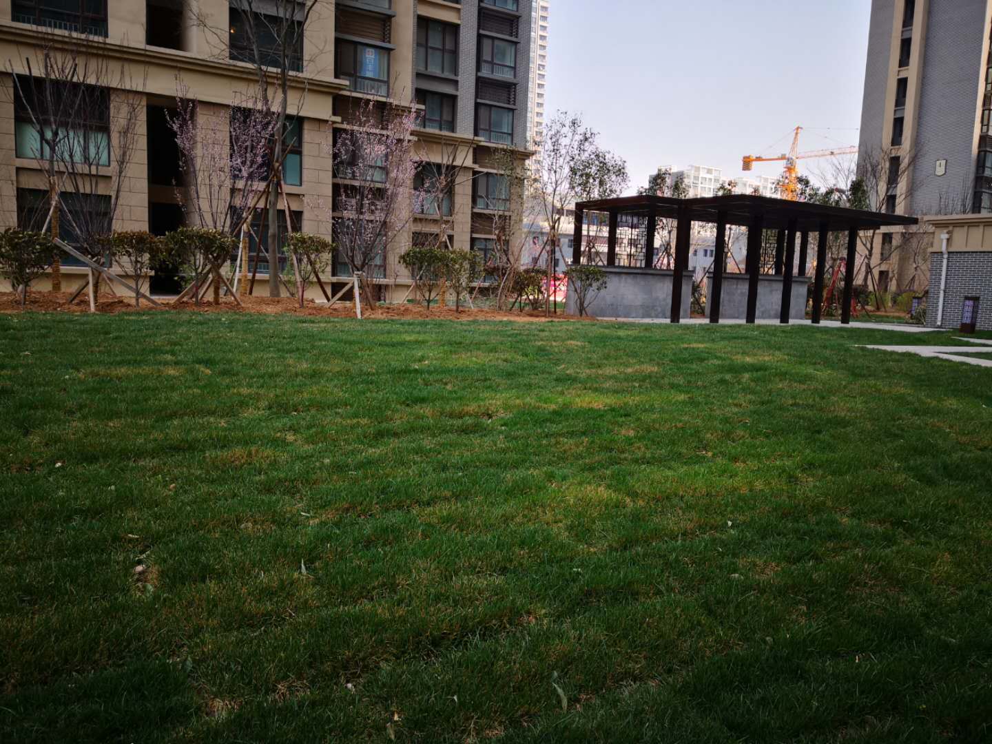 泰安天悦府·福园室外管网及景观绿化工程完工